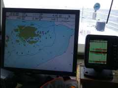Cod Fishing13